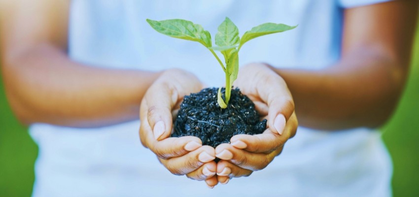 From Soil to Secondary Markets Discussion