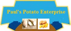 Paul's sweet potato enterprise