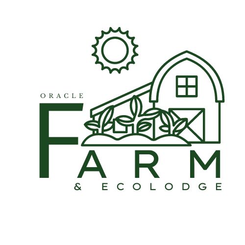 Oracle Farms: Aeroponics Farming