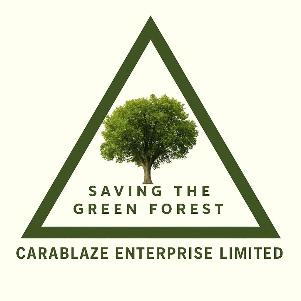 Carablaze Enterprise Limited