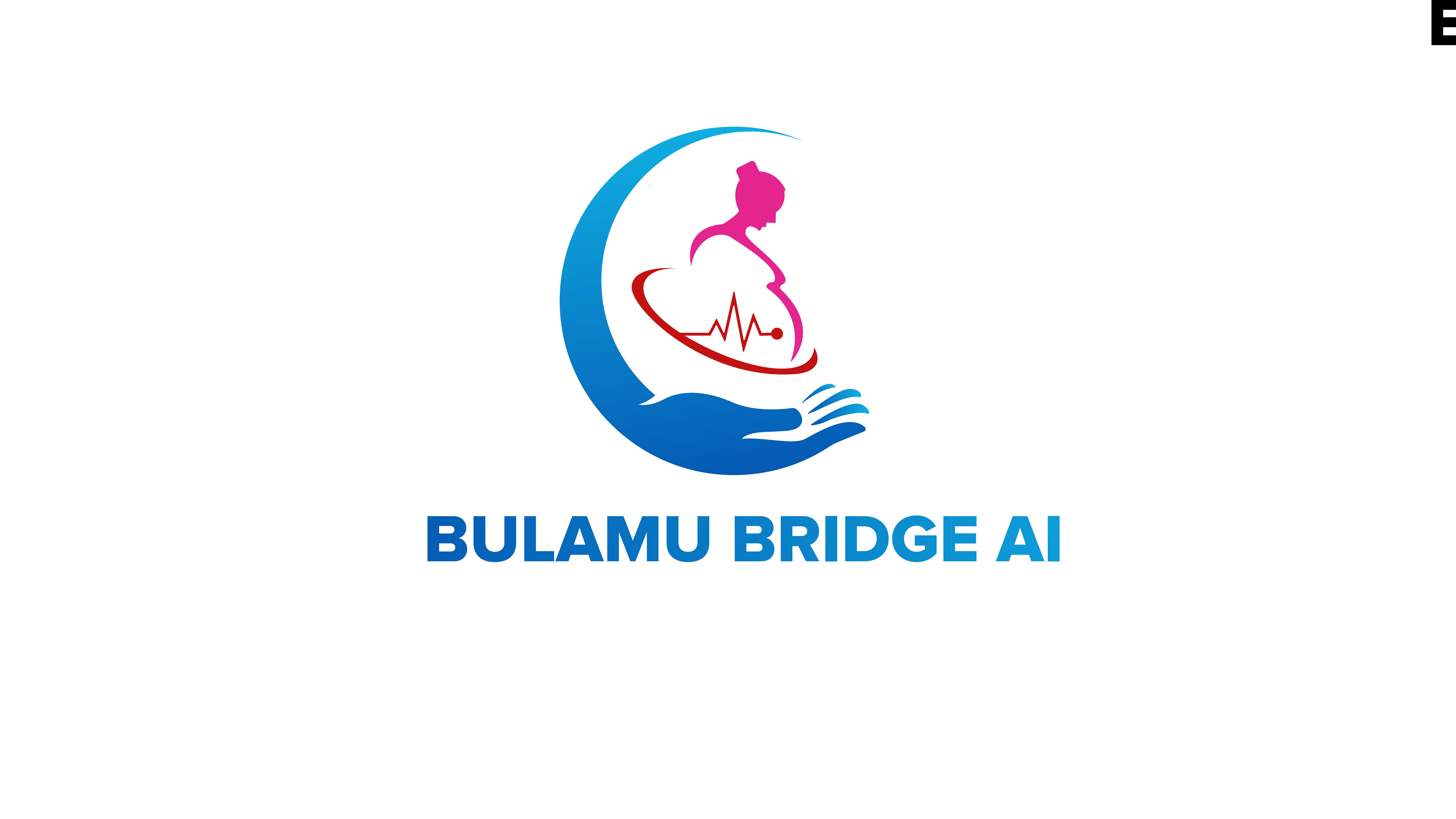 Bulamu Bridge AI Technologies 