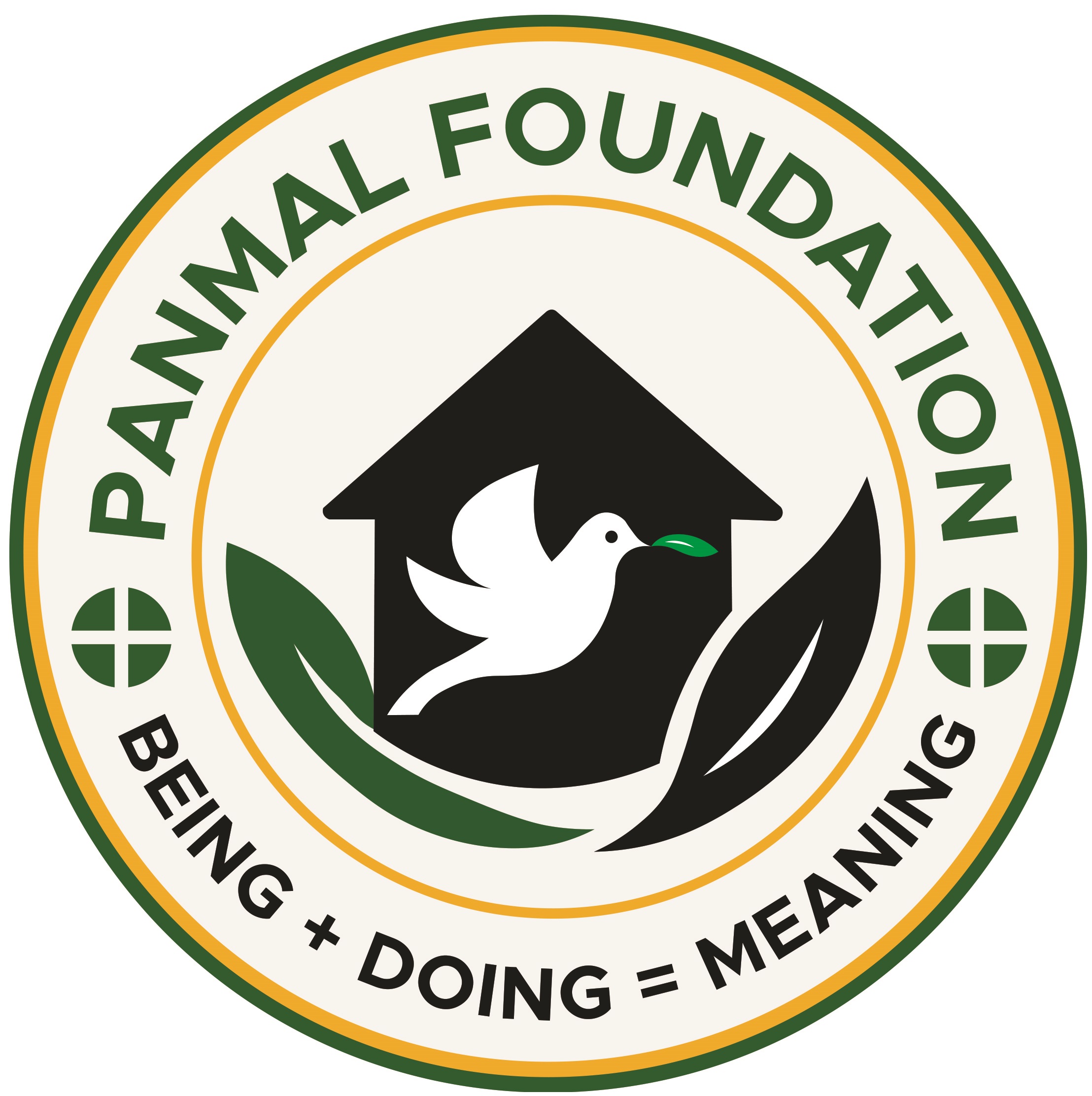 Primary Educare Initiative (PEI)