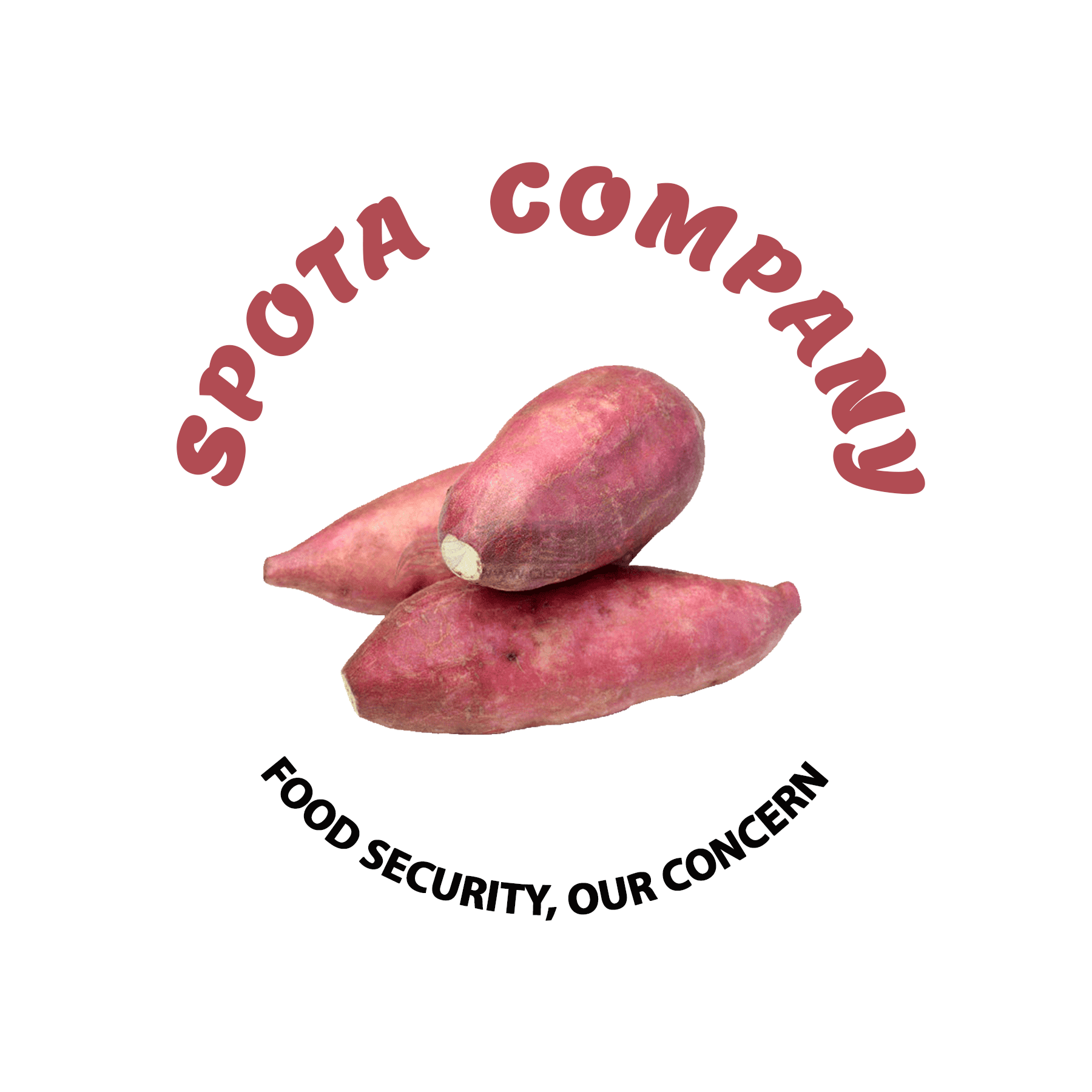 SPOTA COMPANY