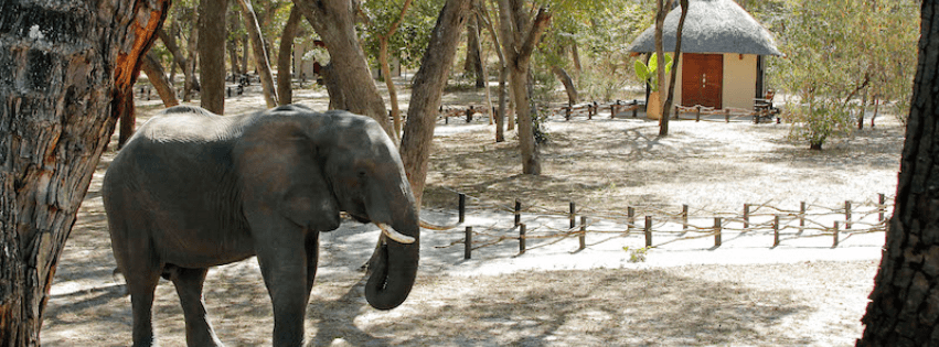 |Gwango Elephant Lodge