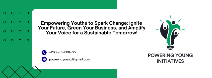 Powering Young Initiatives 