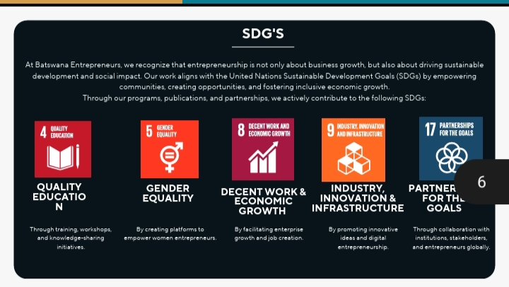 Batswana Entrepreneurs To SDGS 