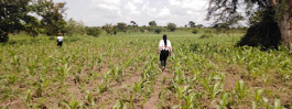 Climate Smart Agriculture (Agreenovation)
