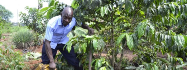 Empowering Smallholders with Biogas and Sustainable Farming