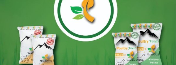 Organic Livestock Feed 