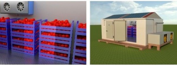 GreenBox A  solar-powered community cold storage center 