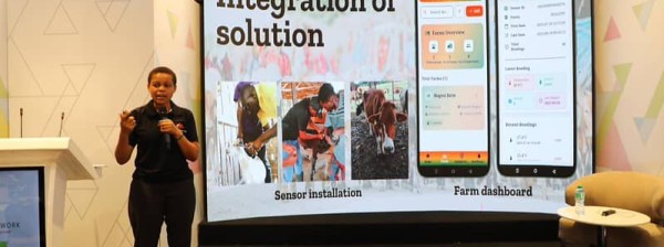 MNYAMA CHECK PLATFORM 