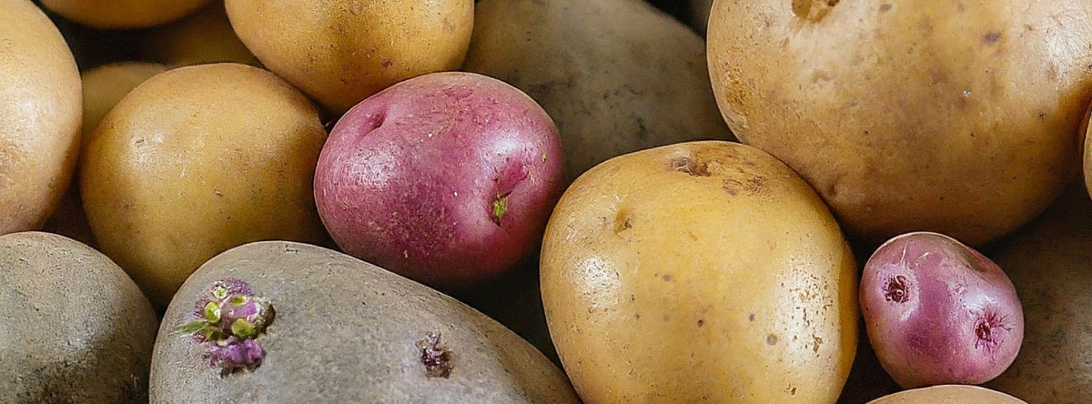 Nakuru Tubers