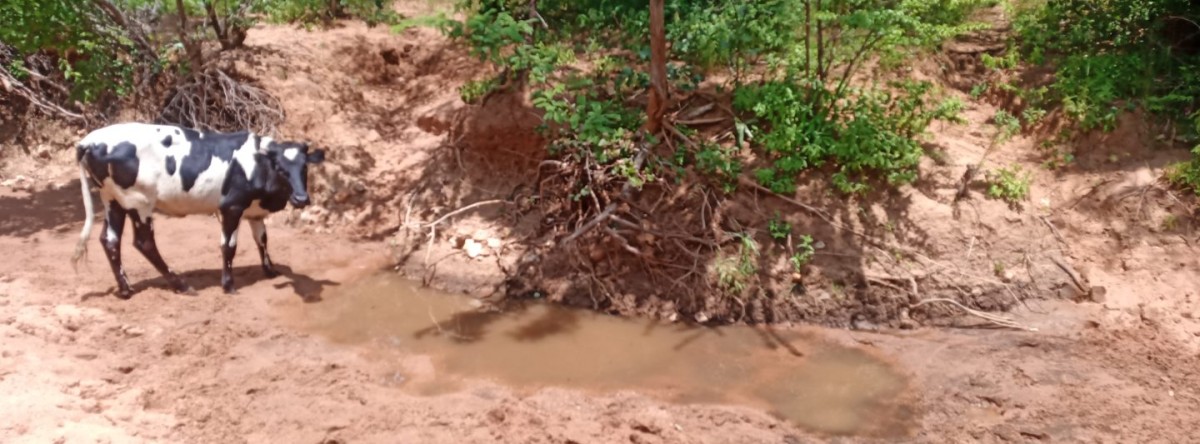 Livelihoods enhancement through improved livestock grazing