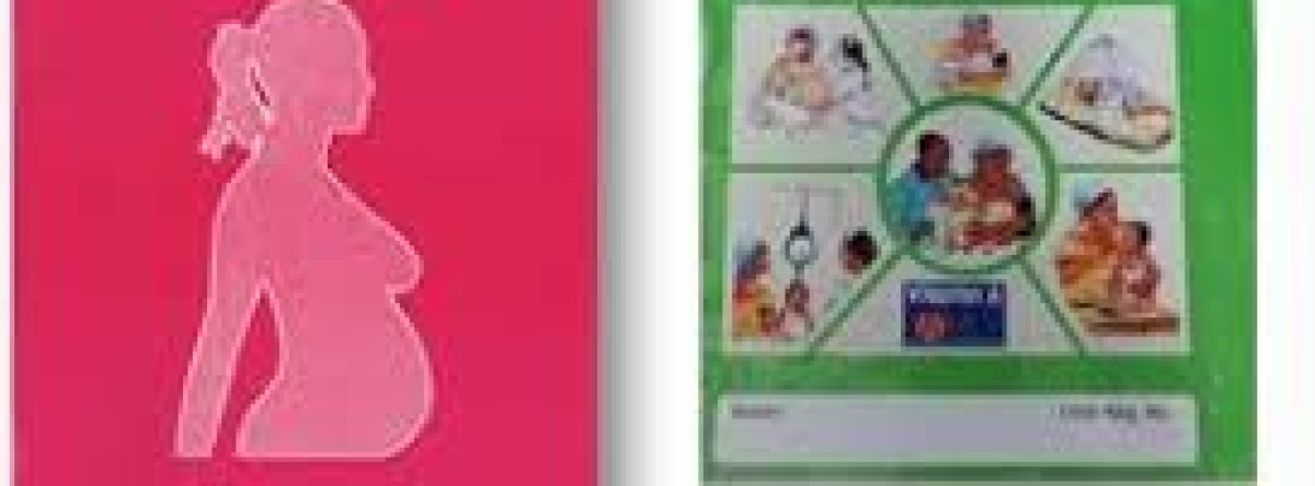 Maternal and Child Health Immunization Tracker