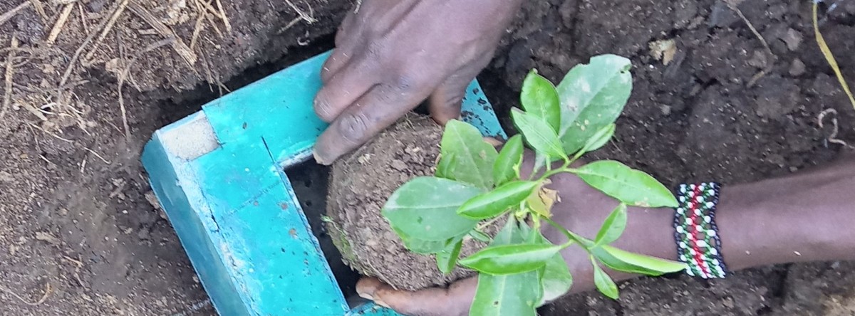 AI-Enhanced Carbon Sink Planters for Dryland Farming