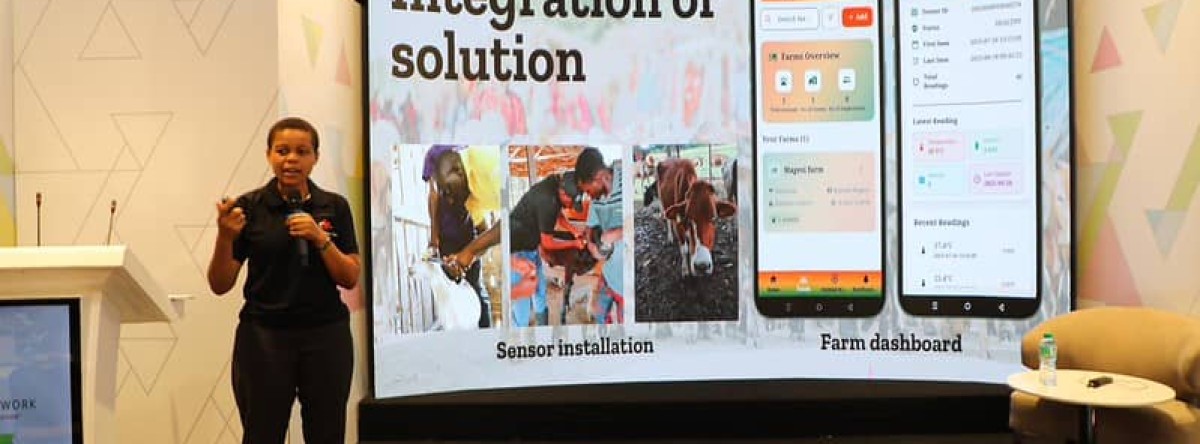 MNYAMA CHECK PLATFORM 