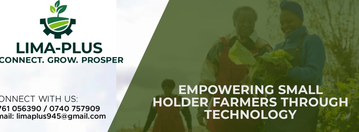 Lima-Plus Ltd 